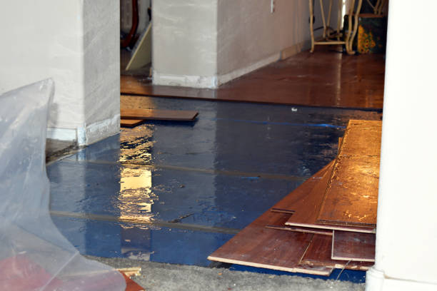 Professional Water Damage technician working in Higdon, AL
